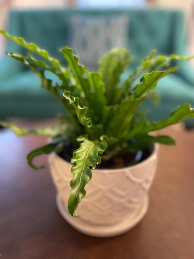 Flora House DEN Zewnętrze zdjęcie